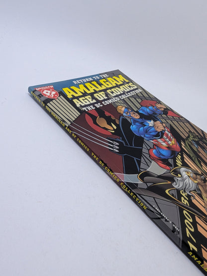 Return to the Amalgam Age of Comics: The DC Comics Collection - Grafinė novelė TreasureHunt