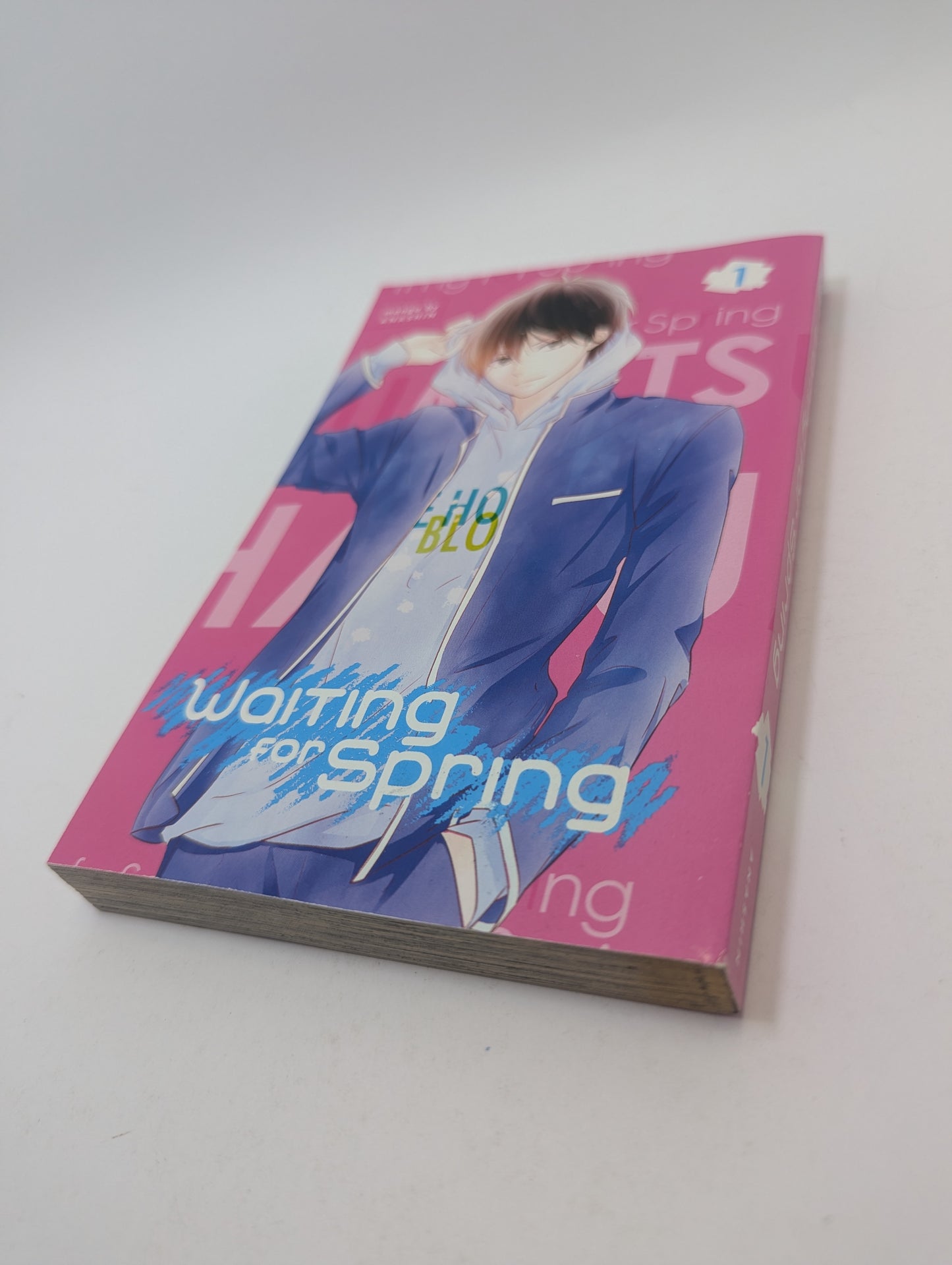 Waiting for Spring, Vol. 1 - Manga