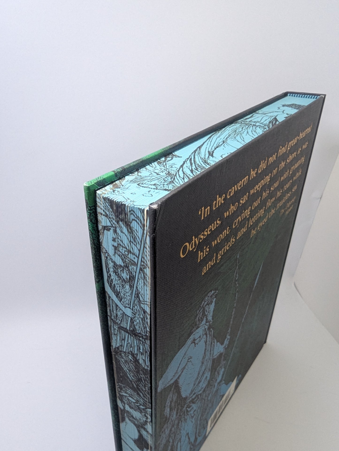 The Odyssey (Arcturus Epic Classics) - Knyga