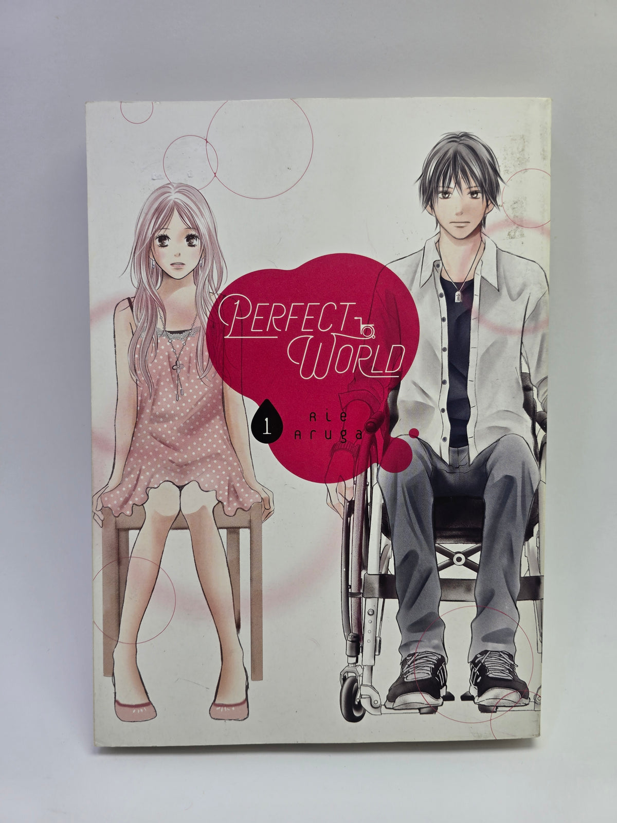 Perfect World Vol 1 Rie Aruga manga knyga anglu kalba