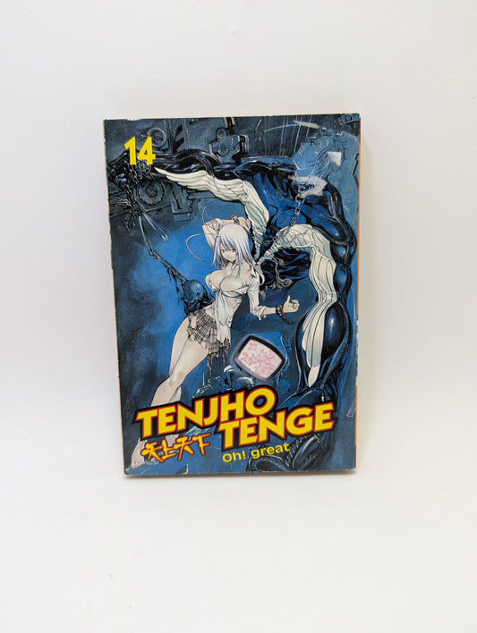 Tenjho-Tenge-Vol-14-Manga-anglu-kalba