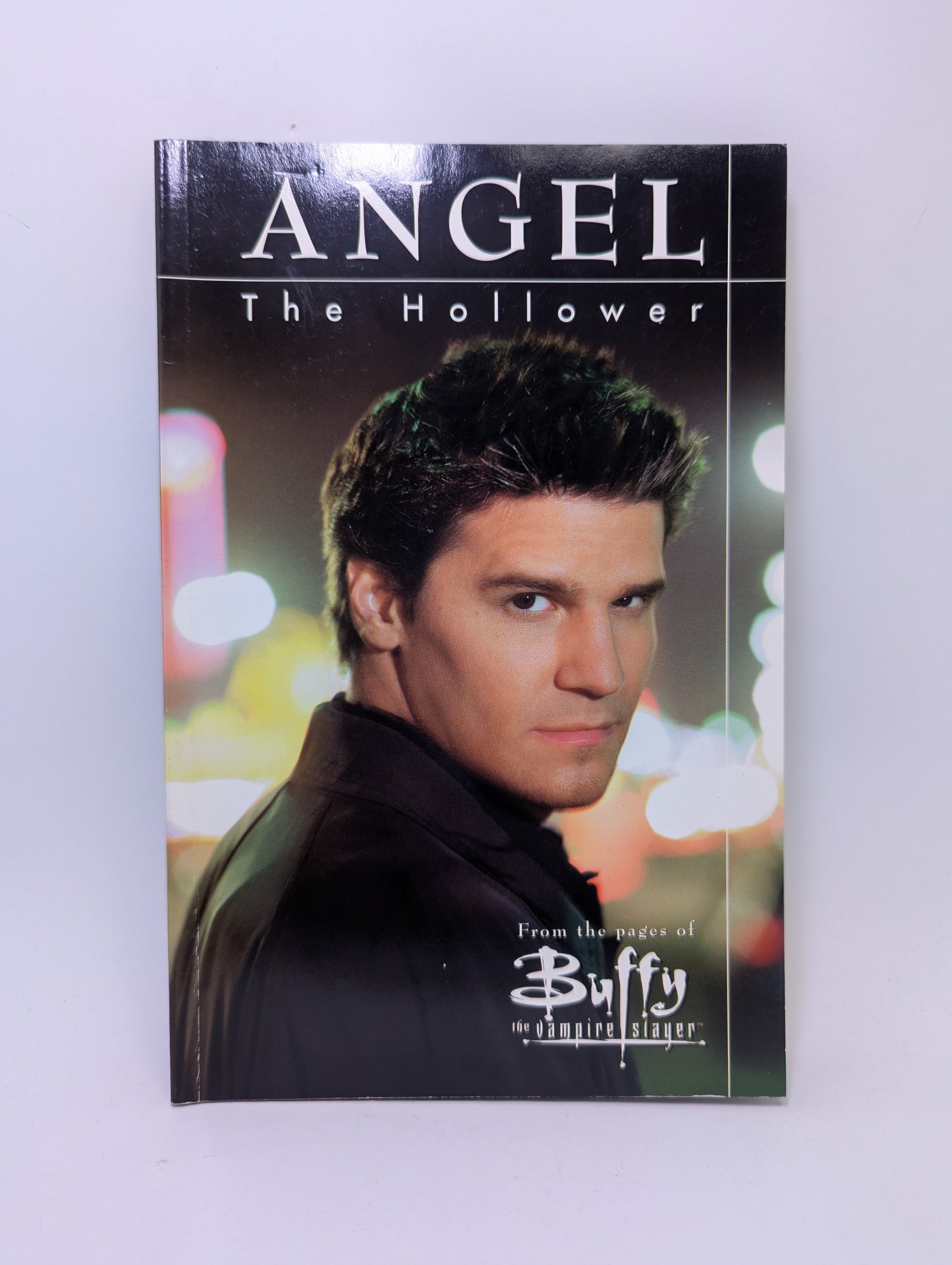 Angel: The Hollower grafinė novelė, Titan Books.