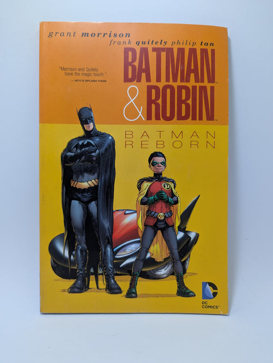 Grafinės novelės Batman & Robin: Batman Reborn viršelis, kuriame pavaizduotas naujasis Betmeno ir Robino duetas.