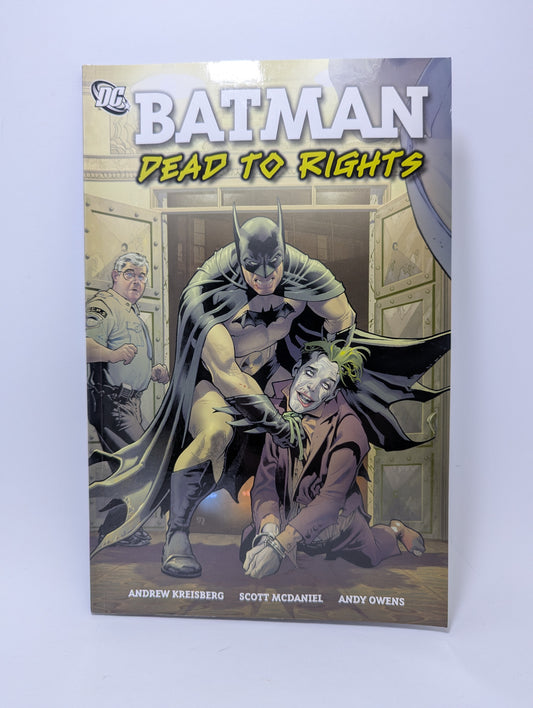 Grafinės novelės Batman: Dead to Rights viršelis su Tamsos riterio iliustracija Gotamo fone.