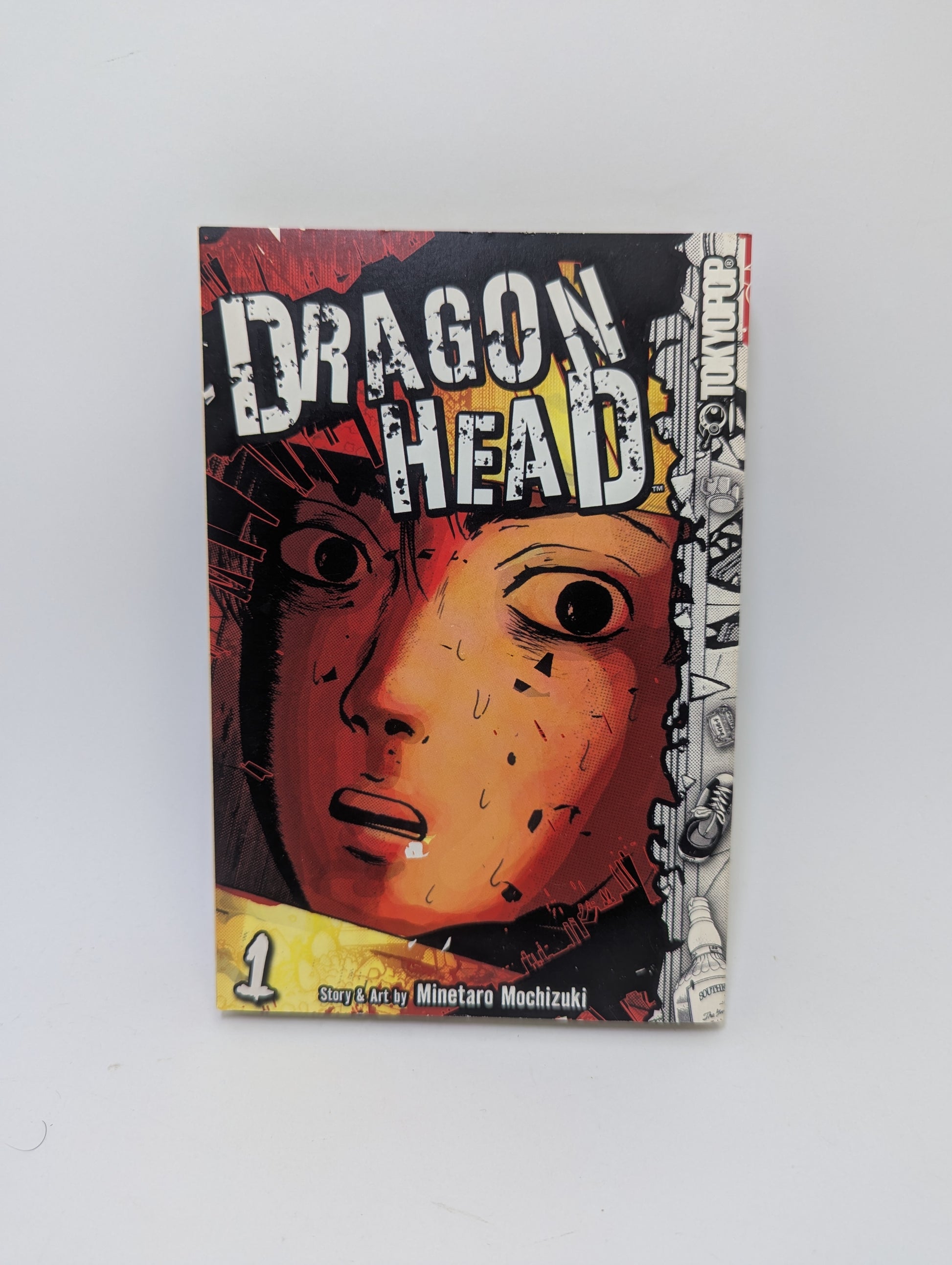 Dragon Head, Vol. 1 manga, Tokyopop.