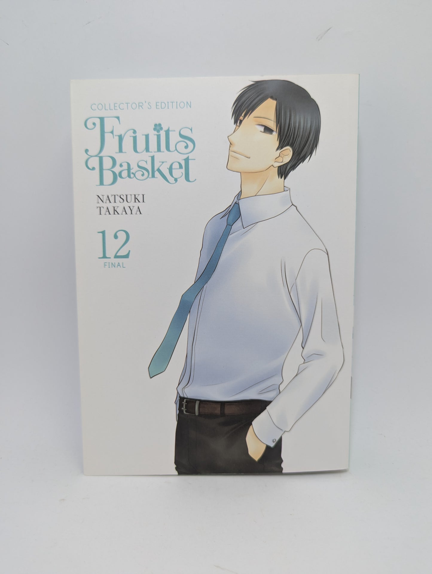 Fruits Basket, Vol. 12 manga.