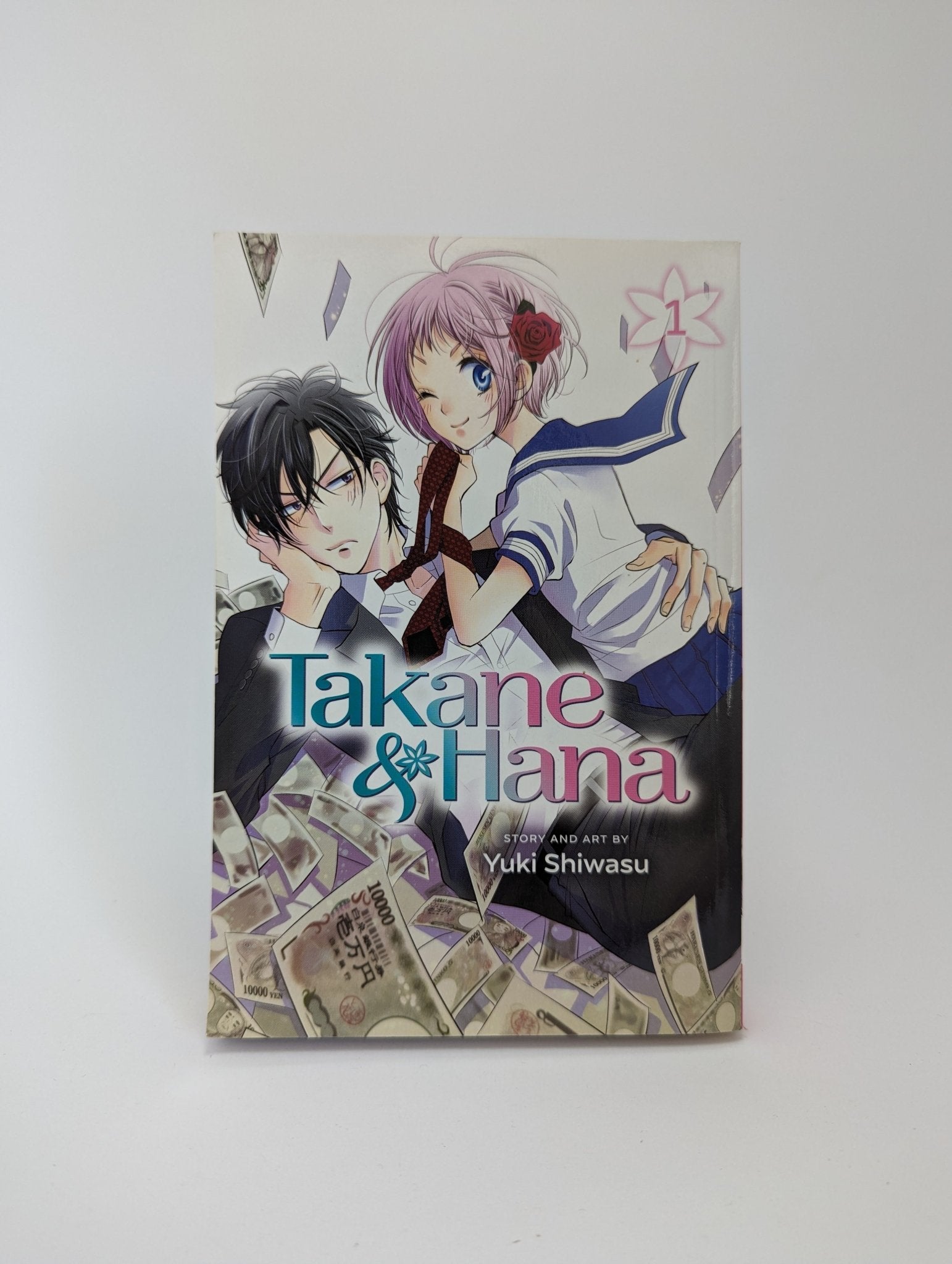 Takane & Hana Vol. 1 - Manga (anglų kalba) - TreasureHunt