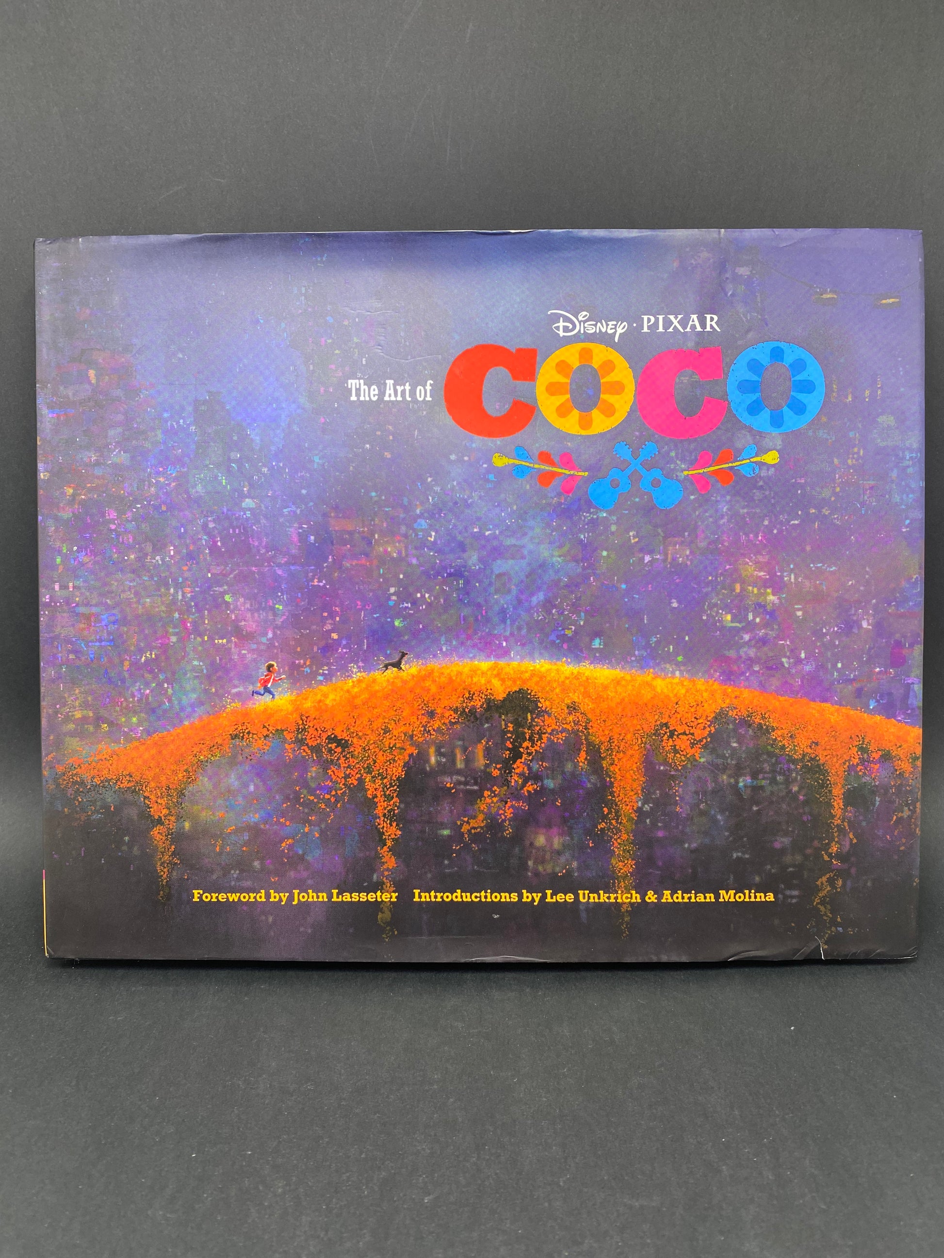 The Art of Coco meno knyga anglų kalba